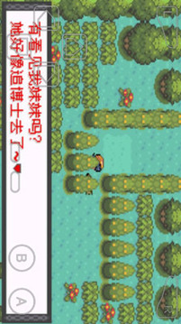 口袋妖怪暗兽神2