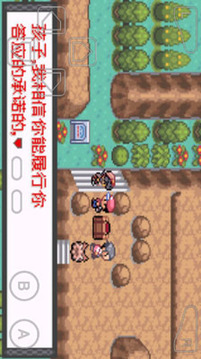 口袋妖怪暗兽神3