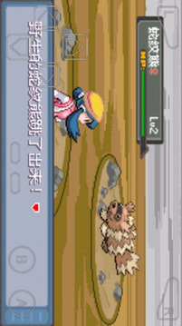 口袋妖怪暗兽神4