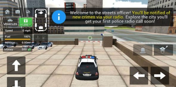 中国公安警车游戏3