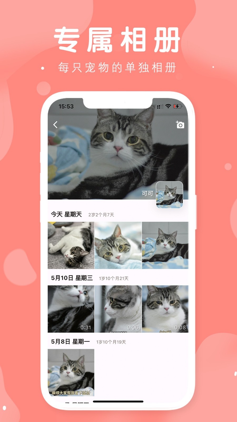 有宠1