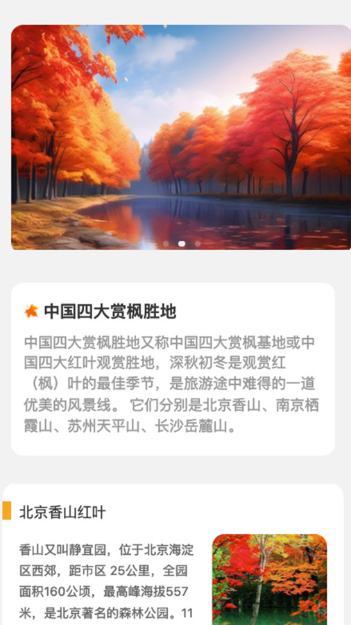 枫叶悦看1