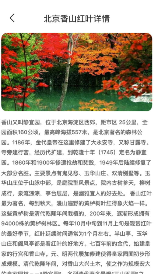 枫叶悦看3