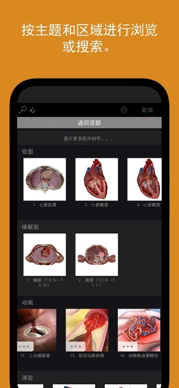 人体解剖学图谱4