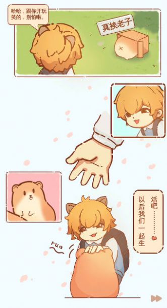 有间萌宠小屋3