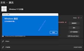 如何激活windows11数字权利