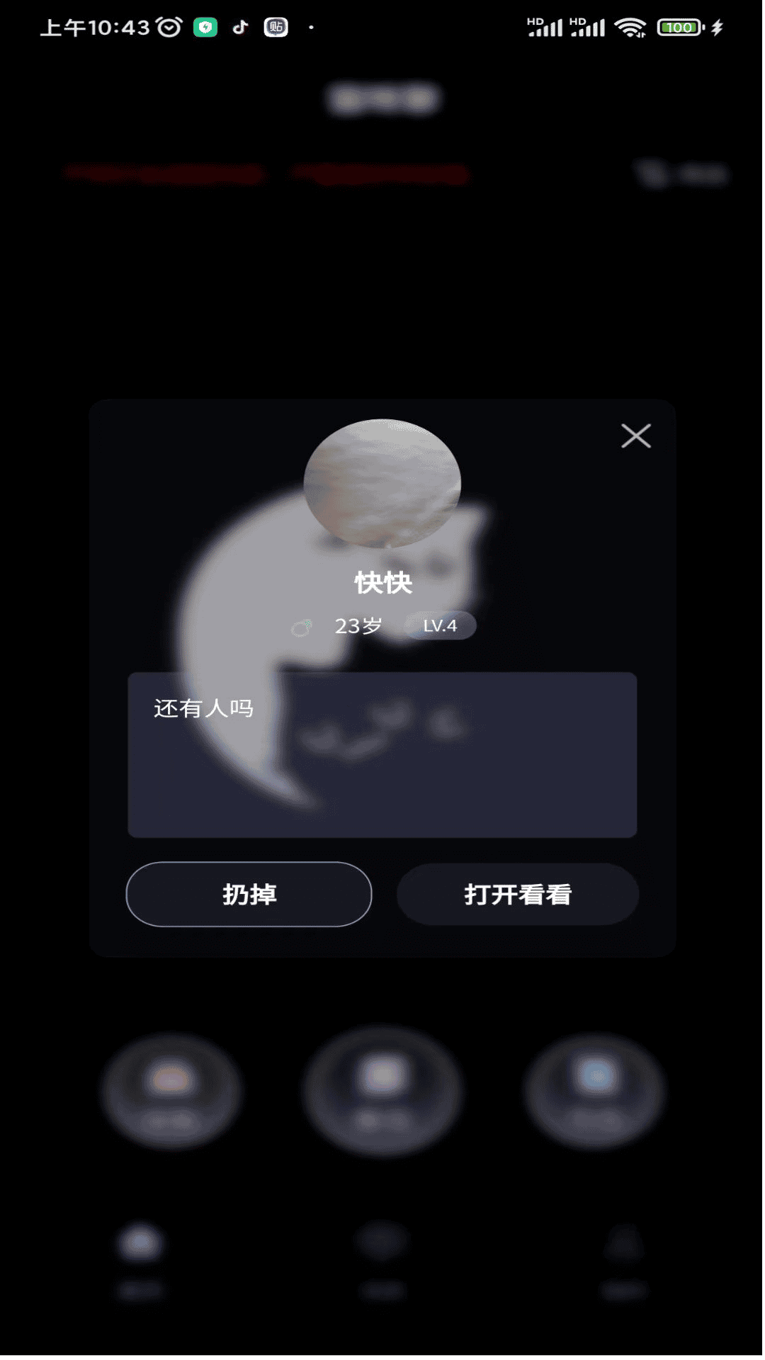 猫咪聊1