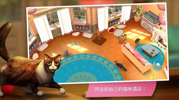 猫咪旅店3