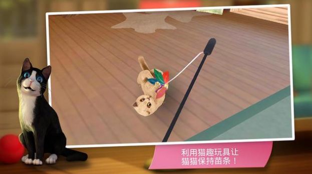 猫咪旅店4