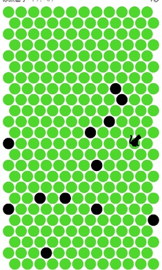 围小猫1