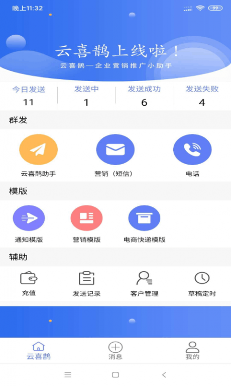 云喜鹊1