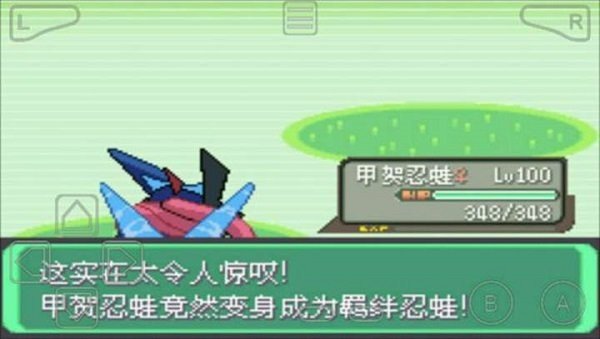 口袋妖怪:绿宝石8021
