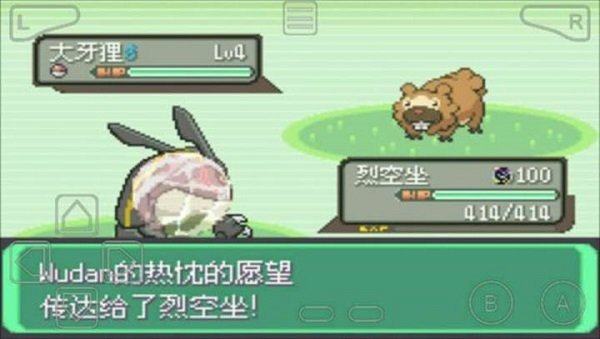 口袋妖怪:绿宝石8022