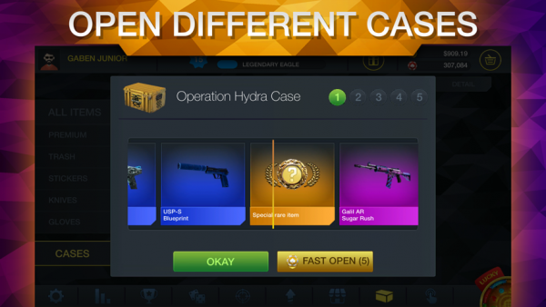case chase4