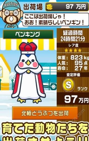 北极动物园九游版4