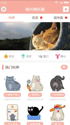 猫叫模拟器1