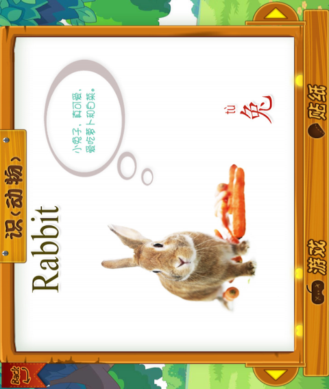 动物大全2