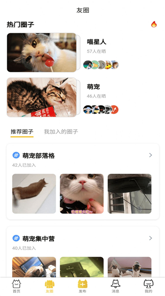 友猫社区手机版2