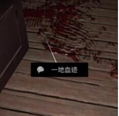 《孙美琪疑案-周静》五级线索——一地血迹