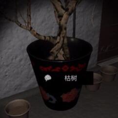 《孙美琪疑案-周静》五级线索——枯树