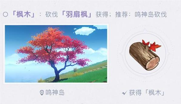 原神枫木在哪采集