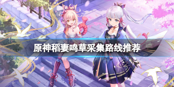原神稻妻哪里鸣草最多