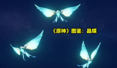 原神晶蝶哪里比较多 分布位置