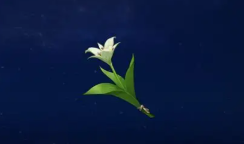 原神塞西莉亚花如何快速获得