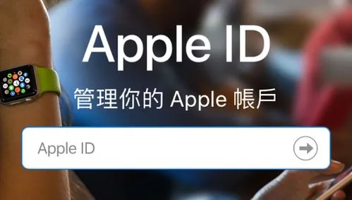 苹果id提示无法登录是怎么回事