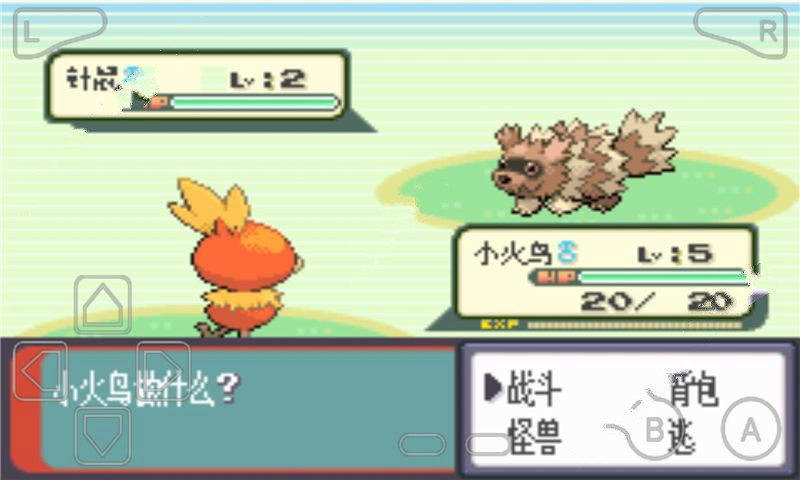 口袋妖怪绿宝石全随机版2
