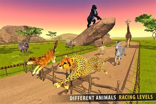 热带草原动物赛跑3D1