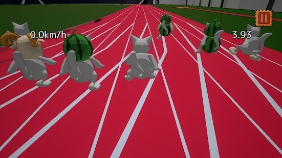 小猫短跑比赛1