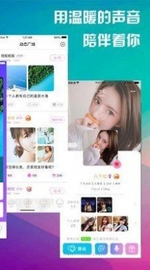 寻缘聊天交友约会手机版(手机交友软件)V3.4 正式版3