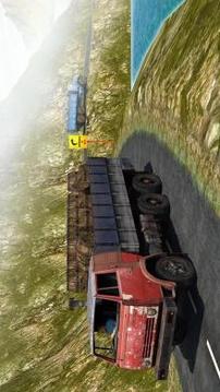Heavy Truck Driver Cargo0