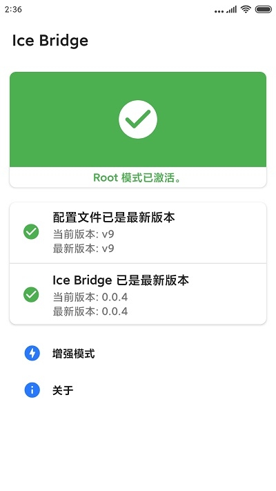 Ice Bridge1