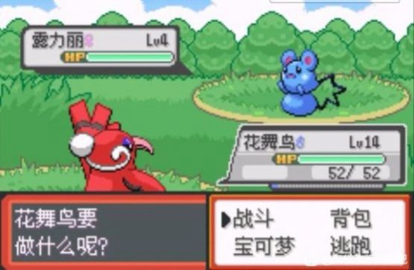 口袋妖怪青苔随机版2