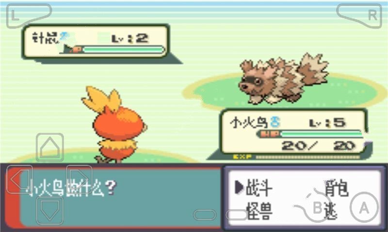 口袋妖怪绿宝石493最终版2
