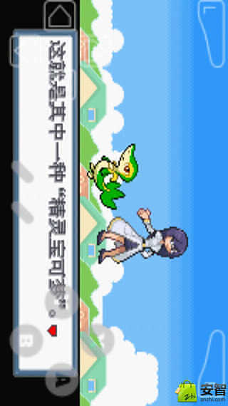 口袋妖怪白金光下载4