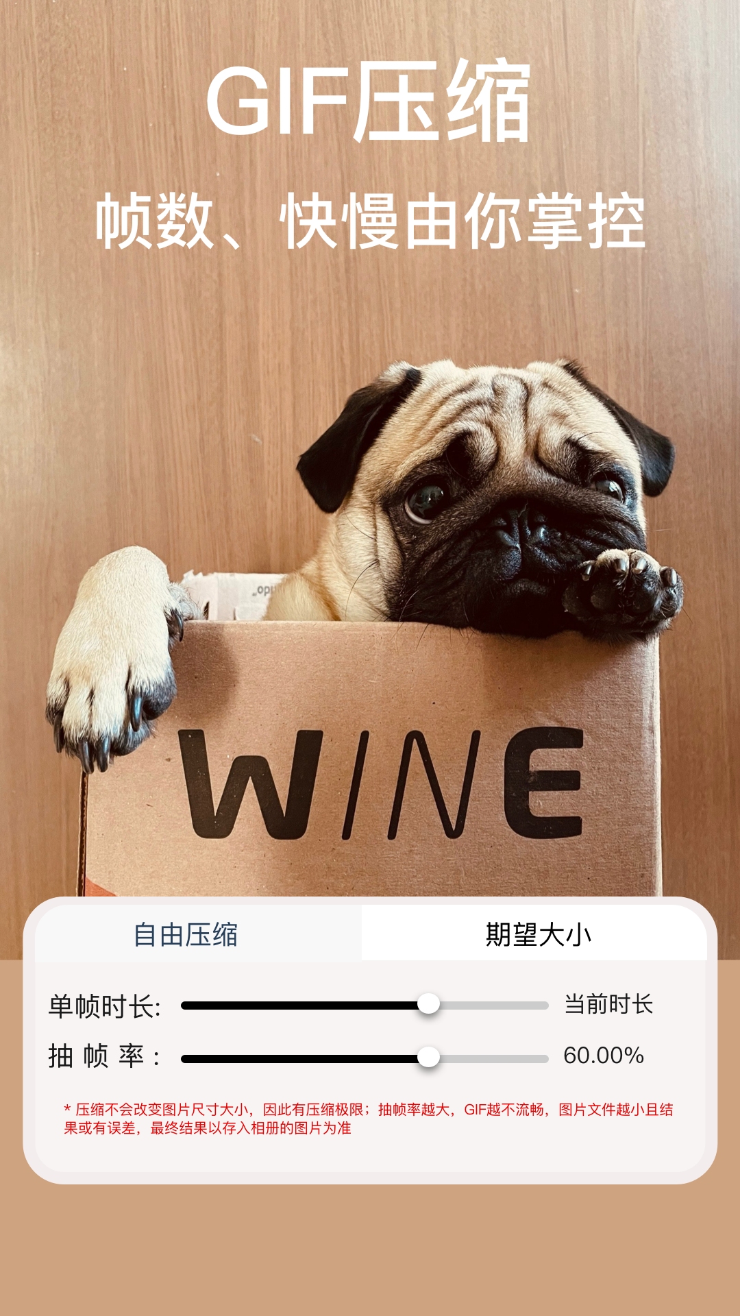 ImgMeta图片压缩专家1