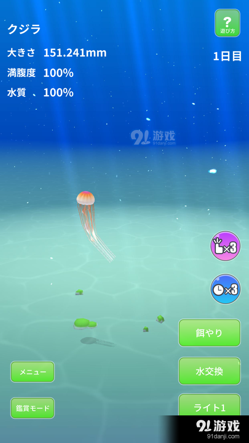 Jellyfish World0