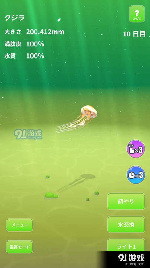 Jellyfish World1