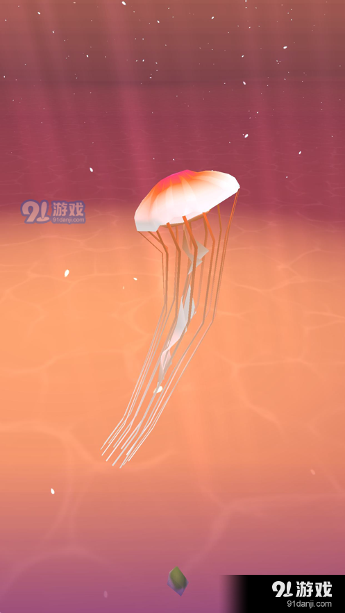 Jellyfish World2