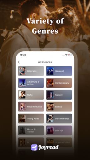 Joyread小说3