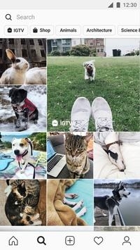 insapp官方下载2