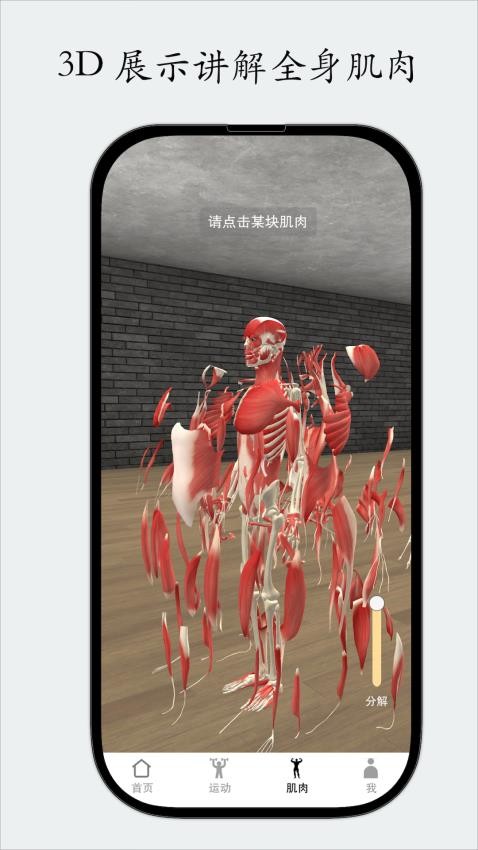 尚可健身1