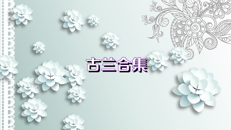 古兰合集