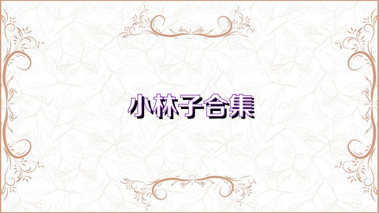 小林子合集