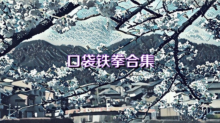 口袋铁拳合集