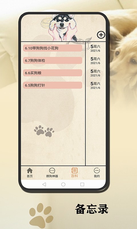小狗翻译官4