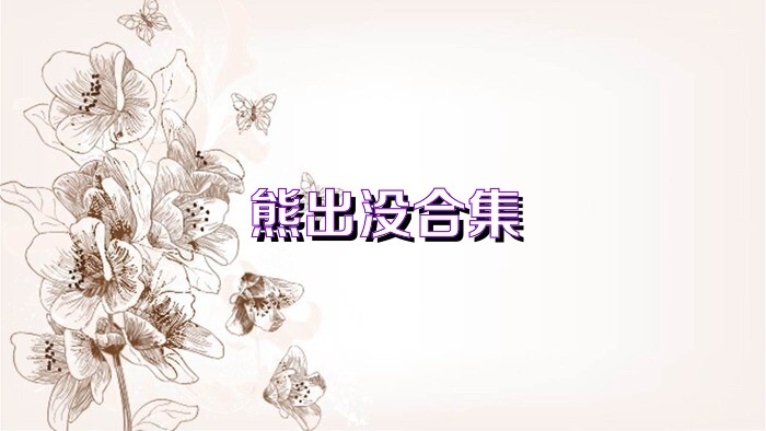 熊出没合集
